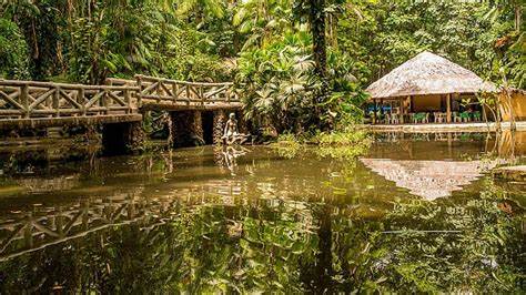 Bosque Rodrigues Alves